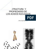 3-1A- REVISION Estruct & Propiedades Ac Nucleicos -2013