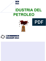 RSB, La Industria Del Petróleo