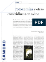 Enterotoxemia y Otras Clostridiosis