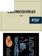 CROMOSOMAS