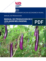 Manual de producción de berenjena (final)