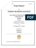 Project Report On Indian Banking System