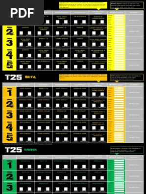 T25