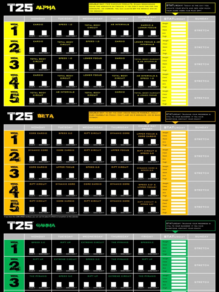Focus t25 alpha beta gamma calendar | pdf | ionizing radiation |  radioactivity