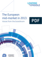 The European Mid-Market in 2013