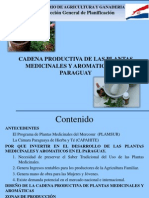 Presentacion Cadena Productiva Plantas Medicinales 2011