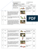 Fundamentos biológicos y bases del acondicionamiento físico circuito