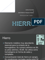 Expo Hierro