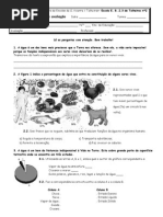 Mini Teste Agua 5º ano