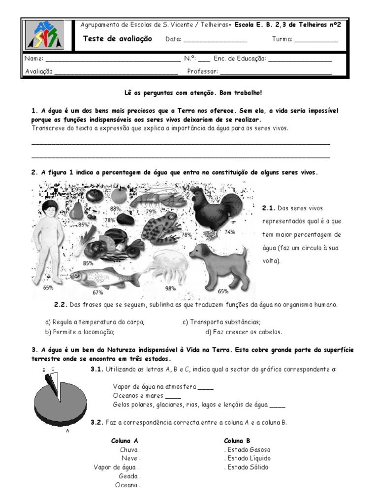 Mini Teste Agua 5º ano