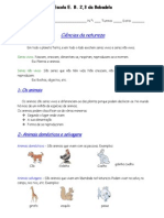 Ficha Informativa classificação animais 5º ano