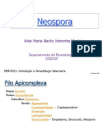 Neospora_2012