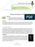 Voice Anatomy 101
