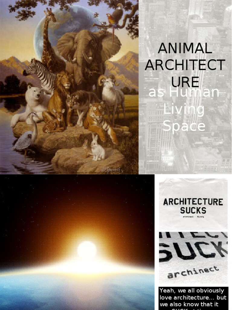 Animal Architect URE: As Human Living Space | PDF | Nature