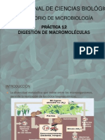 Digestion de Macromoleculas (Eq. 2,5)