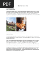 Ecovila Visão do Futuro