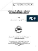 Marino Pensiero 2006 PDF