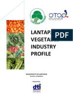 Vegetable Industry Profile of Lantapan, Bukidnon