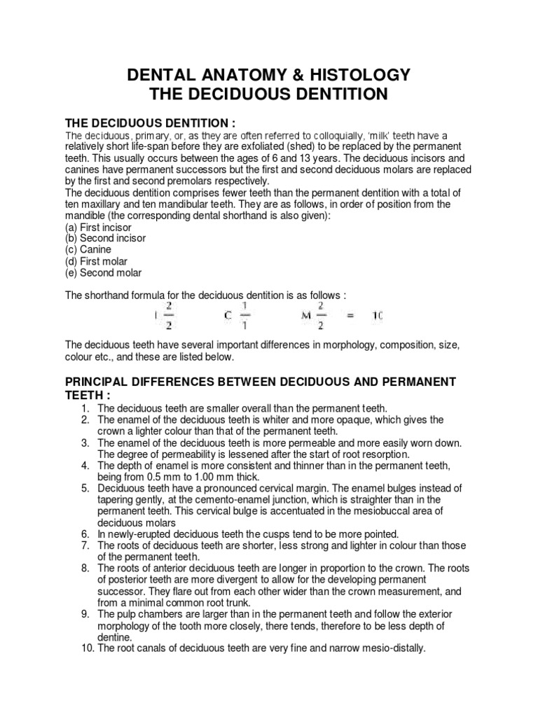 Dental Anatomy Histology Notes | PDF | Tooth | Dental Anatomy