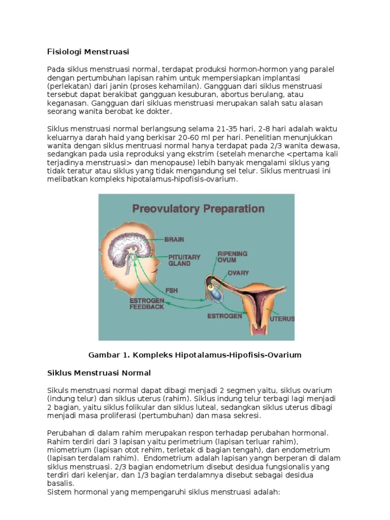  Fisiologi  Menstruasi 