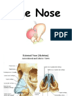 Download nose 11 ASU by samahko SN15914444 doc pdf