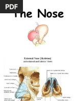 Download nose 11 ASU by samahko SN15914444 doc pdf