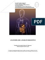 Digestivo Anatomia Bio2012