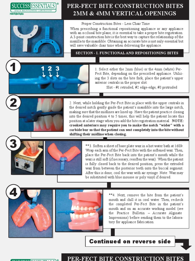 Perfect Bites Construction Bite PDF Nature