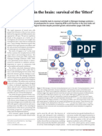 Dna Inestability