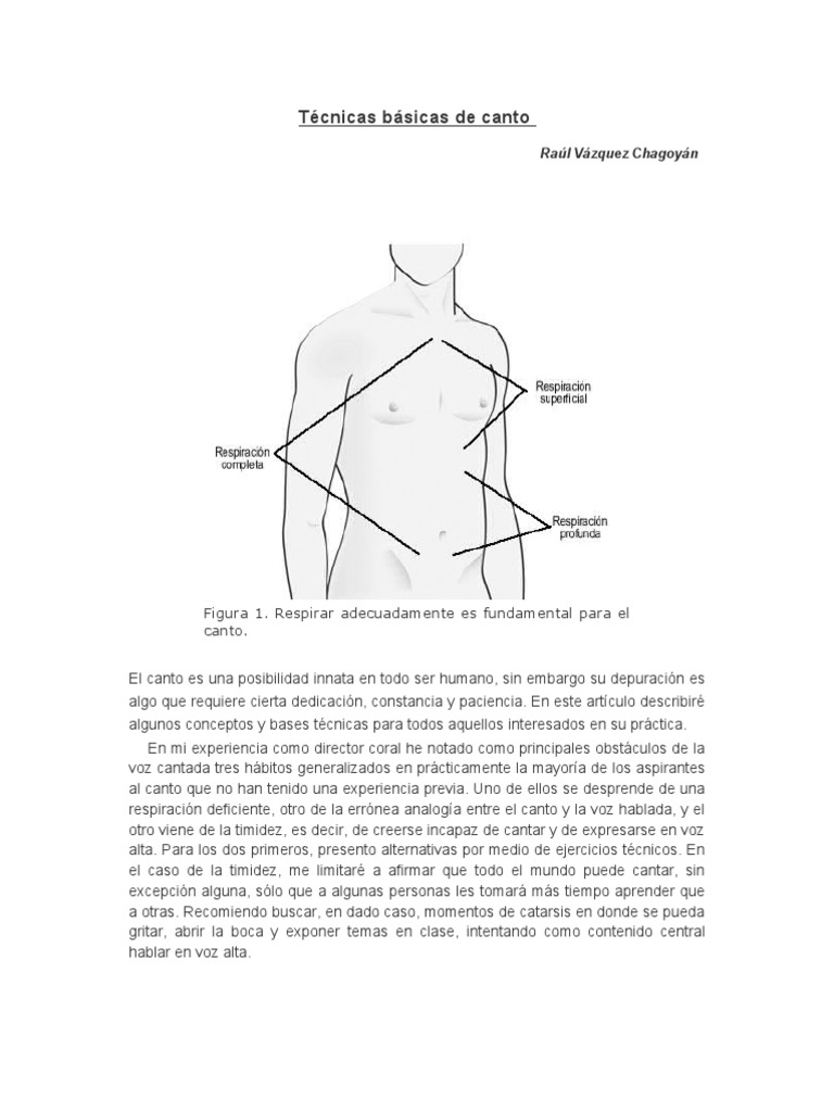 Técnicas Básicas para Cantar Mejor | PDF | Artes del Lenguaje y ...