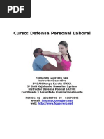 Curso Defensa Personal