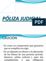 Pliza Judicial