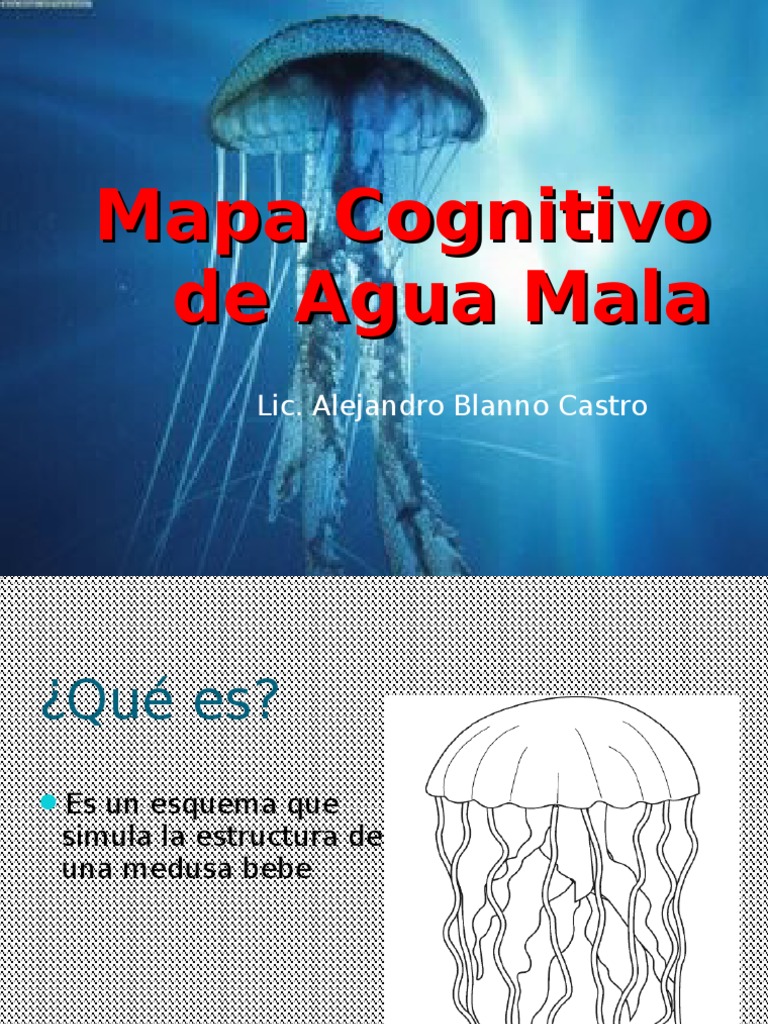 Mapa Cognitivo de Agua Mala República México