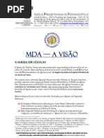 A VISÃO DO  MDA COMENTÁRIO ADICIONADO RETIRADO DA INTERNET