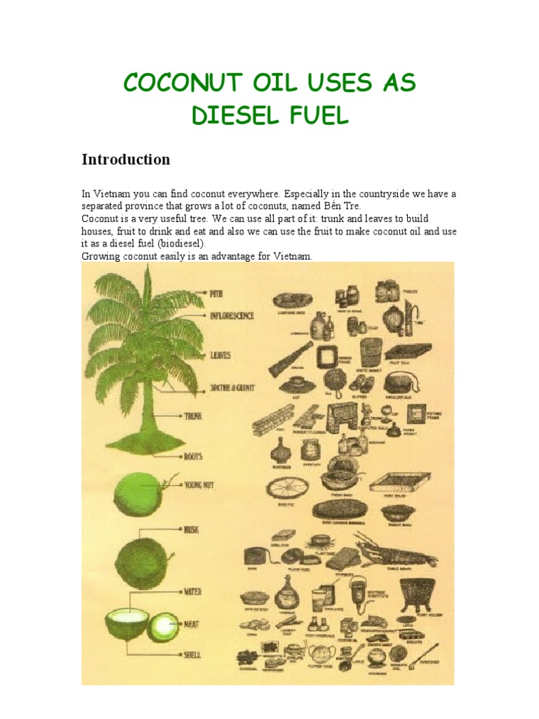 Coconut Oil Uses as Diesel Fuel Biodiesel Diesel Engine