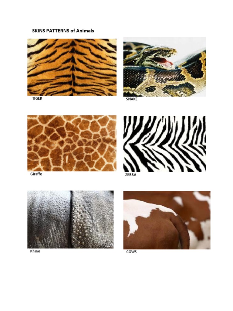 Animal Skin Patterns and Ears Guide | PDF