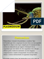 Plasm Odium