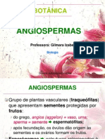 Angiospermas 121009134619 Phpapp01