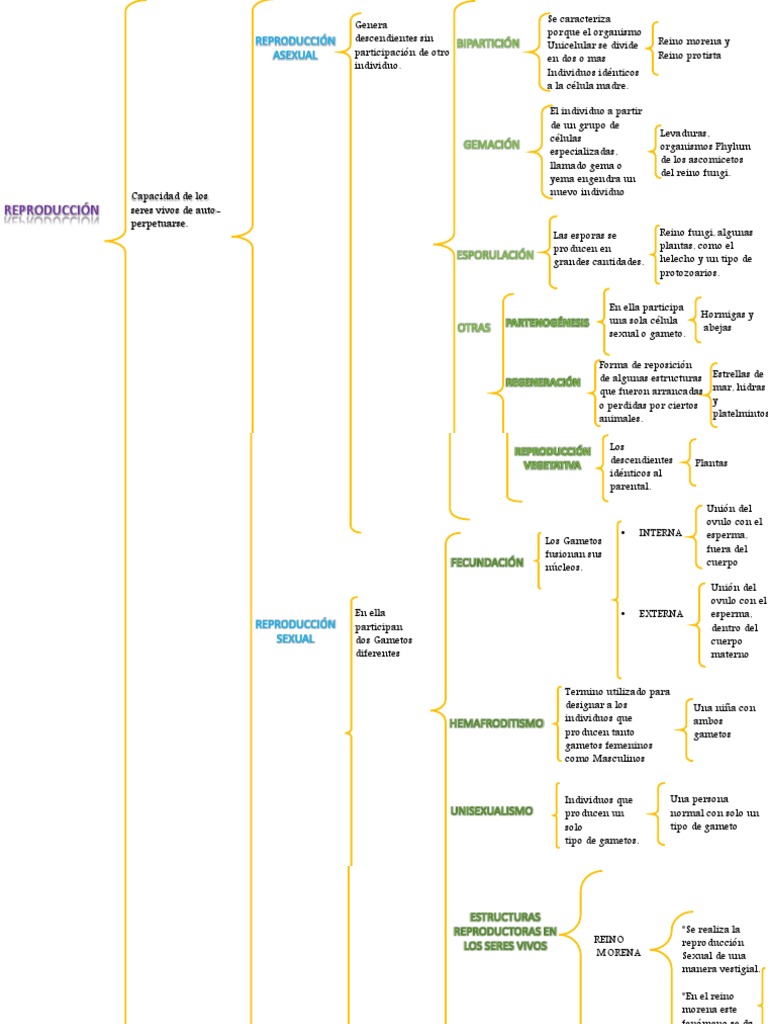 Cuadro Sinoptico Biologia