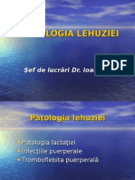 Patologia lactatiei