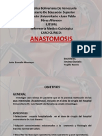 Anastomosis 2007