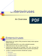 Enteroviruses