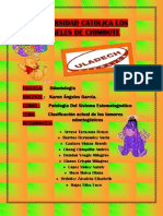 Mapa-pato.pdf