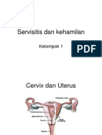 Servisitis Dan Kehamilan