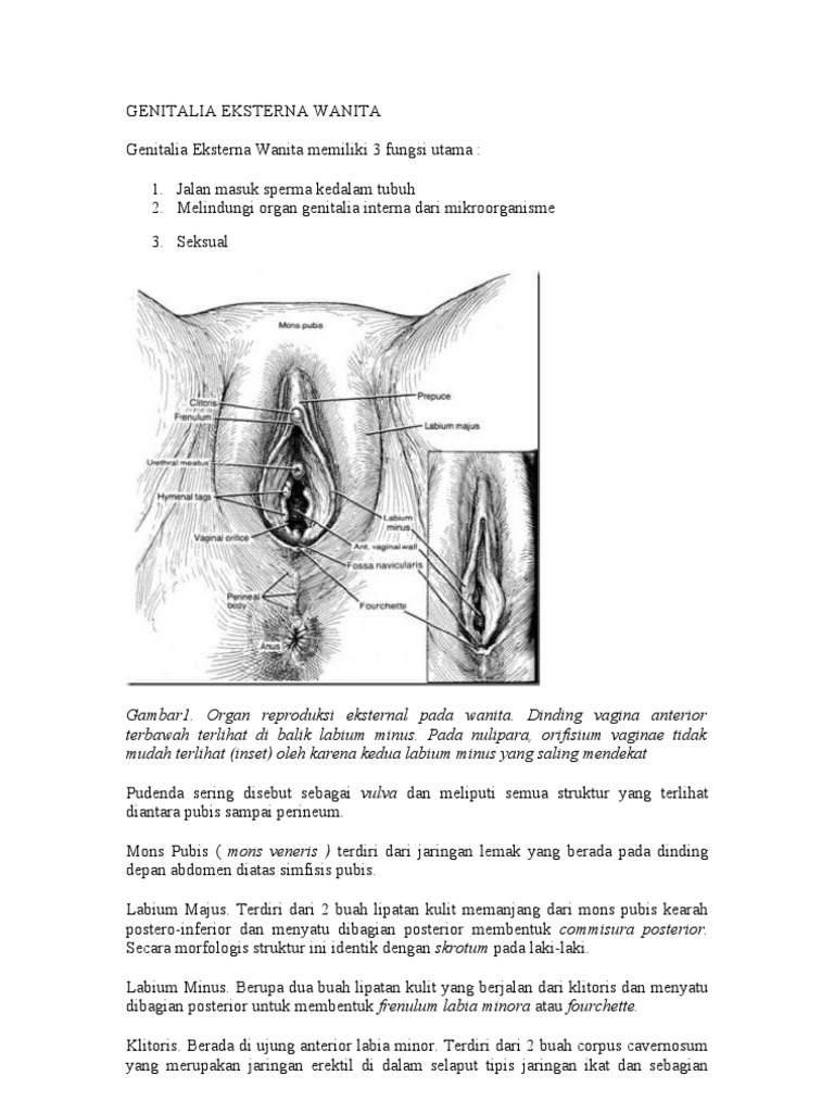 Klitorisdagi finalgon