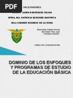 Download DOMINIO DE LOS ENFOQUES DE BSICA by predator SN15951683 doc pdf