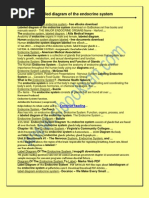 Download Labeled Diagram of the Endocrine System by Kadek Mardika SN159523014 doc pdf