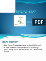 Artificial Leaf