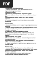 Base de crânio, forames e conteúdos