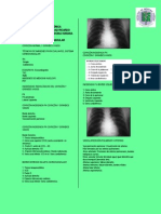 Radiologia Sistema Cardiovascular